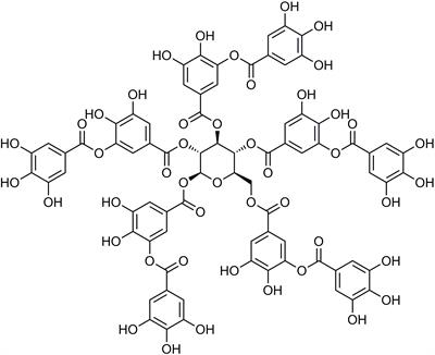 The Mechanism Underlying the Protective Effects of Tannic Acid Against Isoproterenol-Induced Myocardial Fibrosis in Mice